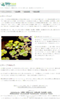 Mobile Screenshot of biotope.huuryuu.com